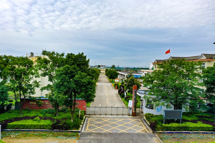 公司大门